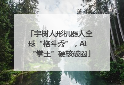 宇树人形机器人全球“格斗秀”，AI“拳王”硬核破圈