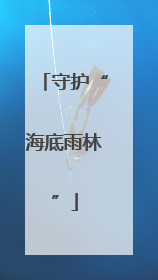 守护“海底雨林”