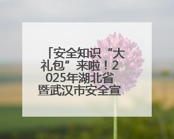 安全知识“大礼包”来啦！2025年湖北省暨武汉市安全宣传咨询日活动在汉举行