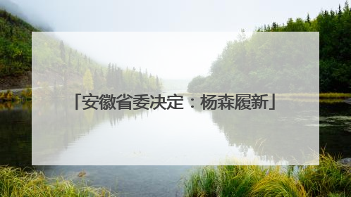 安徽省委决定：杨森履新