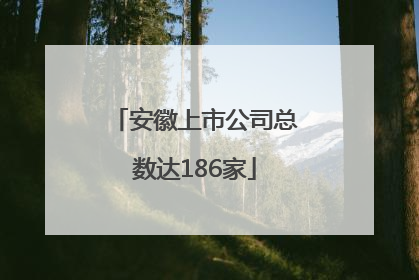 安徽上市公司总数达186家