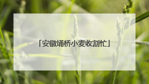 安徽埇桥小麦收割忙