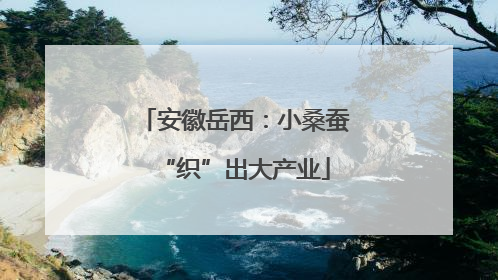 安徽岳西：小桑蚕“织”出大产业