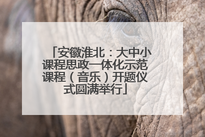 安徽淮北：大中小课程思政一体化示范课程（音乐）开题仪式圆满举行