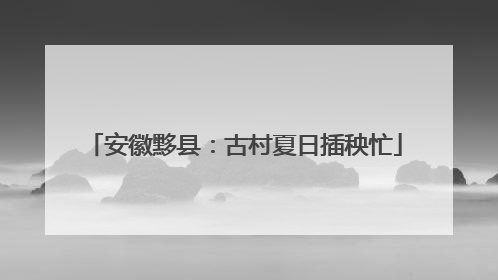 安徽黟县：古村夏日插秧忙
