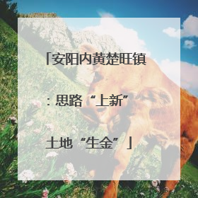 安阳内黄楚旺镇：思路“上新” 土地“生金”