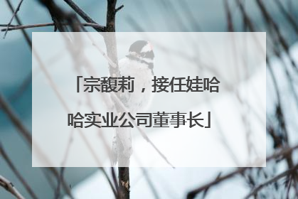 宗馥莉，接任娃哈哈实业公司董事长