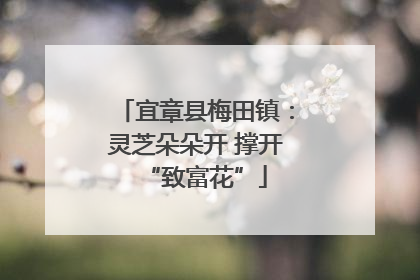 宜章县梅田镇：灵芝朵朵开 撑开“致富花”