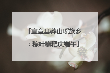 宜章县莽山瑶族乡：粽叶糍粑庆端午