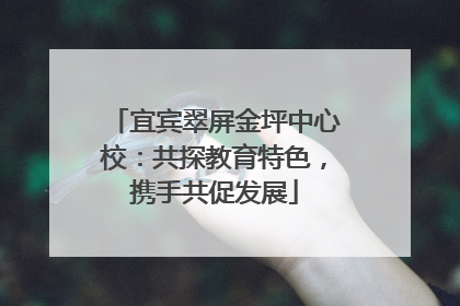 宜宾翠屏金坪中心校：共探教育特色，携手共促发展