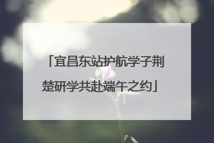 宜昌东站护航学子荆楚研学共赴端午之约