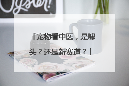 宠物看中医，是噱头？还是新赛道？