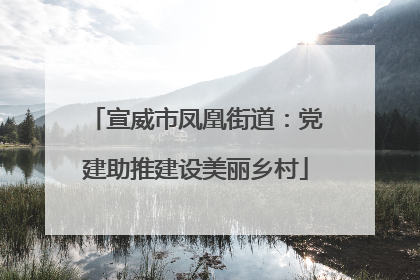 宣威市凤凰街道：党建助推建设美丽乡村