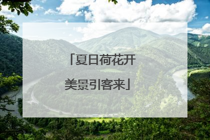 夏日荷花开 美景引客来