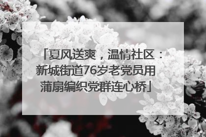 夏风送爽，温情社区：新城街道76岁老党员用蒲扇编织党群连心桥