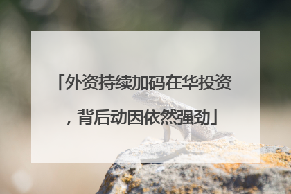 外资持续加码在华投资，背后动因依然强劲