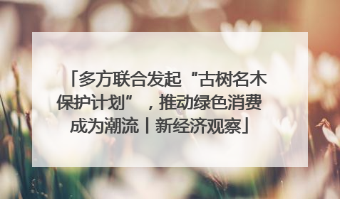 多方联合发起“古树名木保护计划”，推动绿色消费成为潮流丨新经济观察