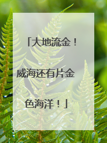 大地流金！威海还有片金色海洋！