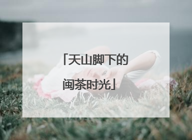 天山脚下的闽茶时光