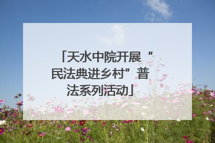 天水中院开展“民法典进乡村”普法系列活动