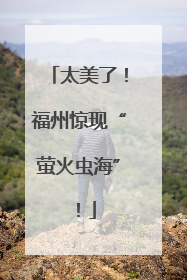 太美了！福州惊现“萤火虫海”！