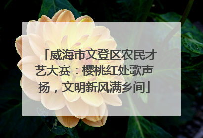 威海市文登区农民才艺大赛：樱桃红处歌声扬，文明新风满乡间