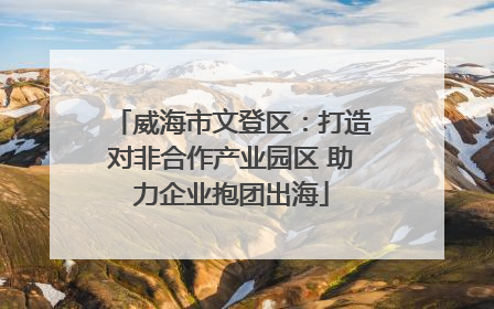 威海市文登区：打造对非合作产业园区 助力企业抱团出海
