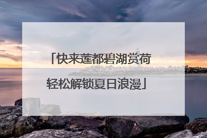 快来莲都碧湖赏荷 轻松解锁夏日浪漫