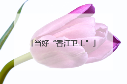 当好“香江卫士”