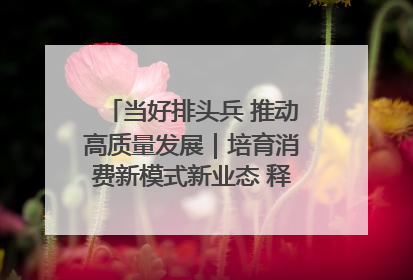 当好排头兵 推动高质量发展｜培育消费新模式新业态 释放经济增长新动能