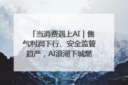 当消费遇上AI｜售气利润下行、安全监管趋严，AI浪潮下城燃企业如何破局