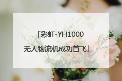 彩虹-YH1000无人物流机成功首飞