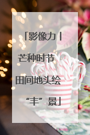 影像力丨芒种时节 田间地头绘“丰”景