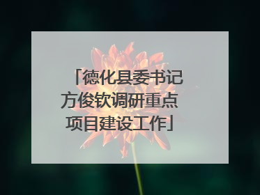 德化县委书记方俊钦调研重点项目建设工作