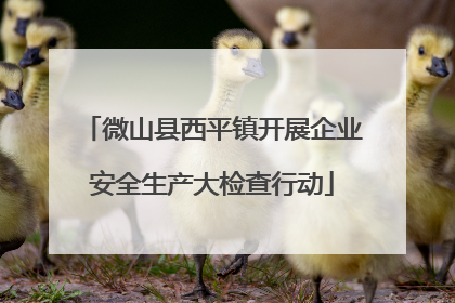 微山县西平镇开展企业安全生产大检查行动