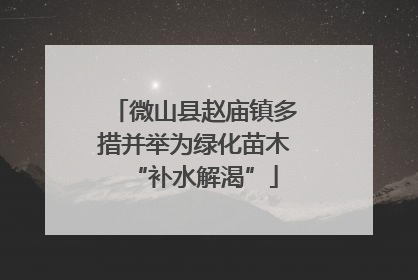 微山县赵庙镇多措并举为绿化苗木“补水解渴”