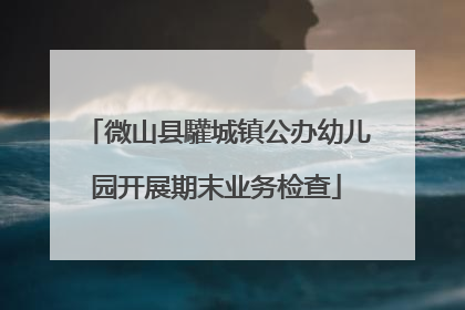 微山县驩城镇公办幼儿园开展期末业务检查