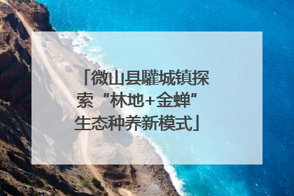 微山县驩城镇探索“林地+金蝉”生态种养新模式