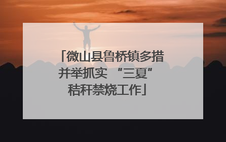 微山县鲁桥镇多措并举抓实 “三夏” 秸秆禁烧工作