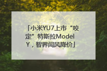 小米YU7上市“咬定”特斯拉Model Y，智界闻风降价