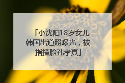 小沈阳18岁女儿韩国出道照曝光，被指撞脸孔孝真