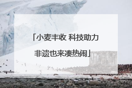 小麦丰收 科技助力 非遗也来凑热闹