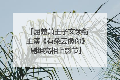 屈楚萧王子文领衔主演《有朵云像你》剧组亮相上影节