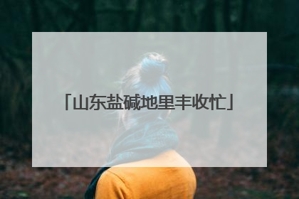 山东盐碱地里丰收忙