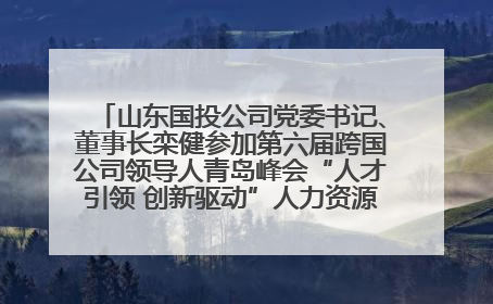 山东国投公司党委书记、董事长栾健参加第六届跨国公司领导人青岛峰会“人才引领 创新驱动”人力资源高质量发展对话会