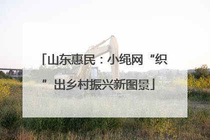山东惠民：小绳网“织”出乡村振兴新图景