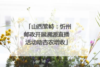 山西繁峙：忻州邮政开展溯源直播活动助杏农增收