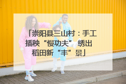 崇阳县三山村：手工插秧“慢功夫” 绣出稻田新“丰”景