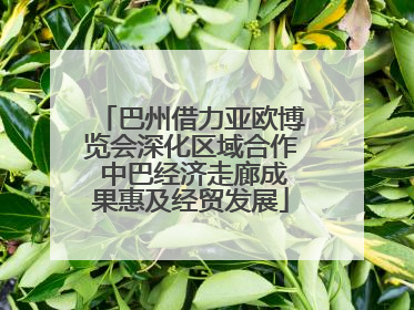 巴州借力亚欧博览会深化区域合作 中巴经济走廊成果惠及经贸发展
