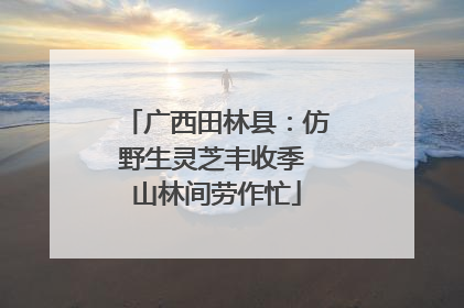广西田林县：仿野生灵芝丰收季 山林间劳作忙